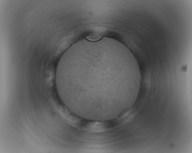 X0000112530082200908311433