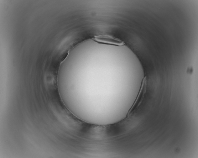 X0000112530084200908311433