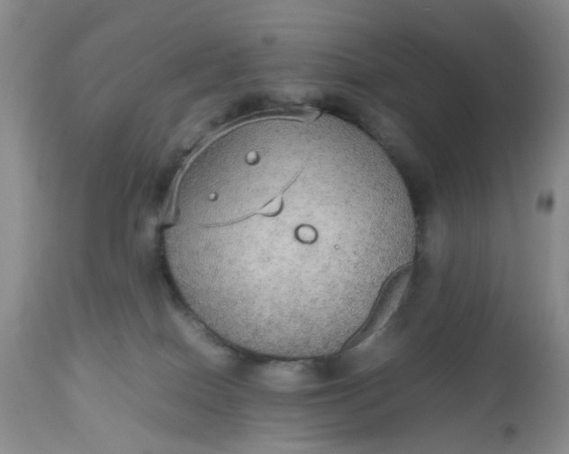 X0000112530086200908311433