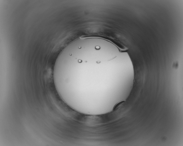X0000112530087200908311433