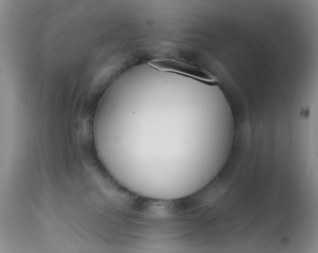 X0000112530088200908311433