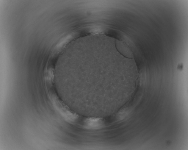 X0000112530093200908311433