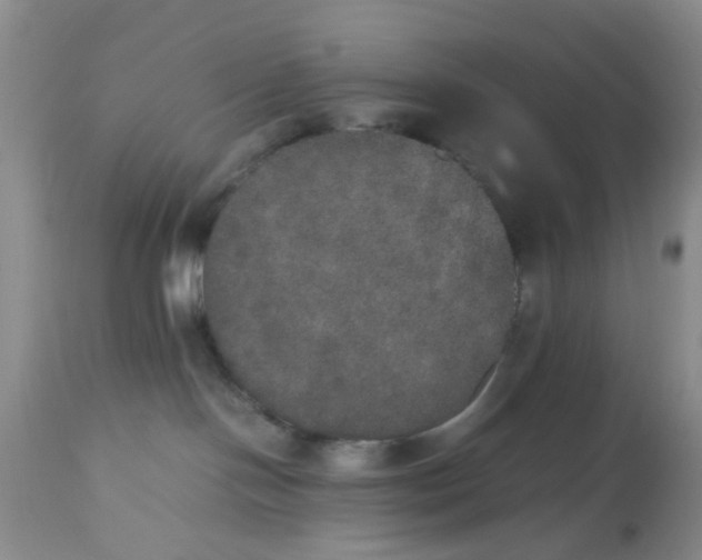 X0000112530094200908311433