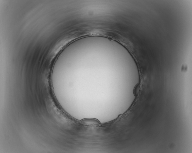 X0000112530098200908311432