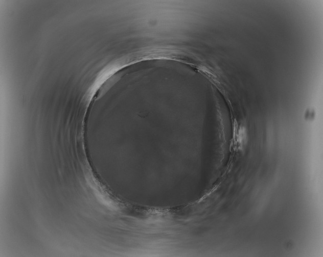 X0000112530099200908311432