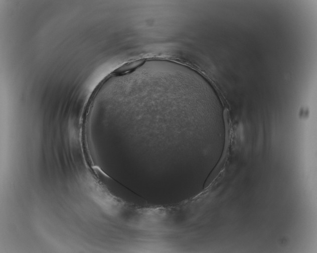 X0000112530100200908311432