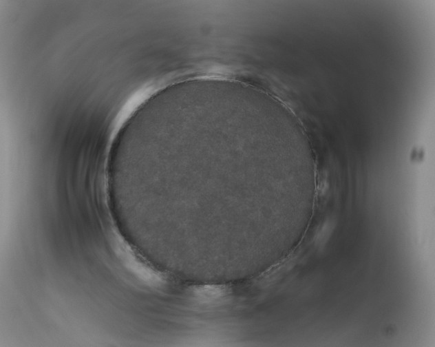 X0000112530102200908311432
