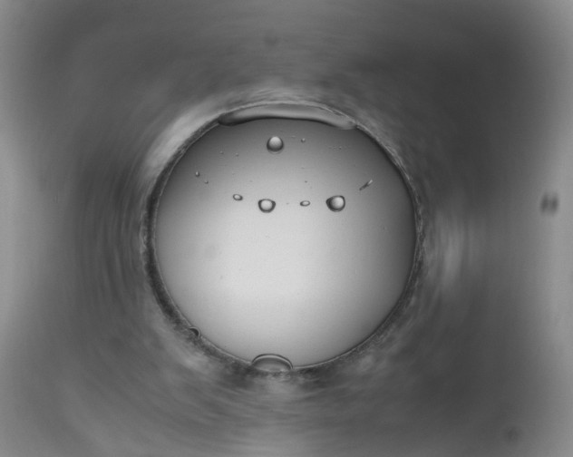 X0000112530103200908311432