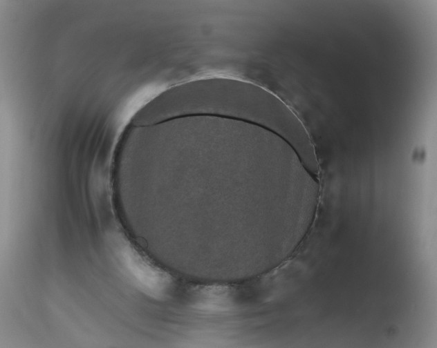 X0000112530104200908311432