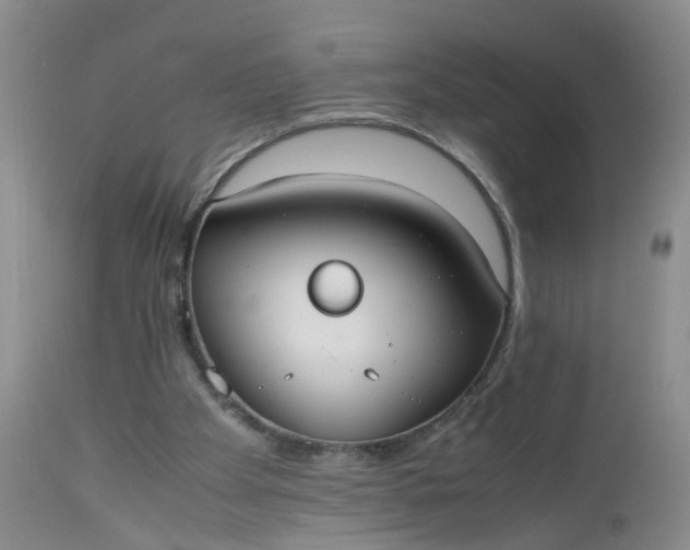 X0000112530105200908311432