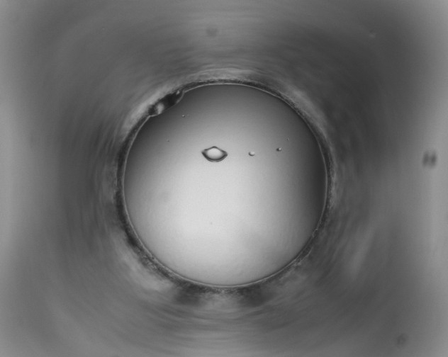 X0000112530107200908311432