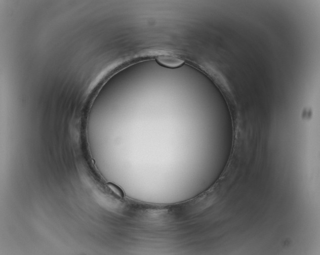 X0000112530108200908311432
