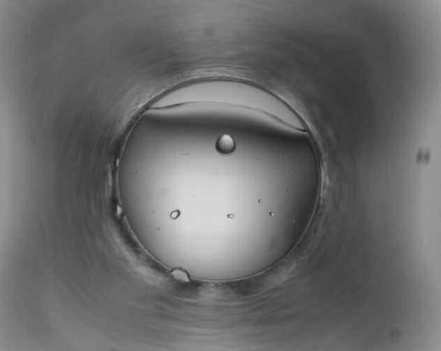 X0000112530109200908311432