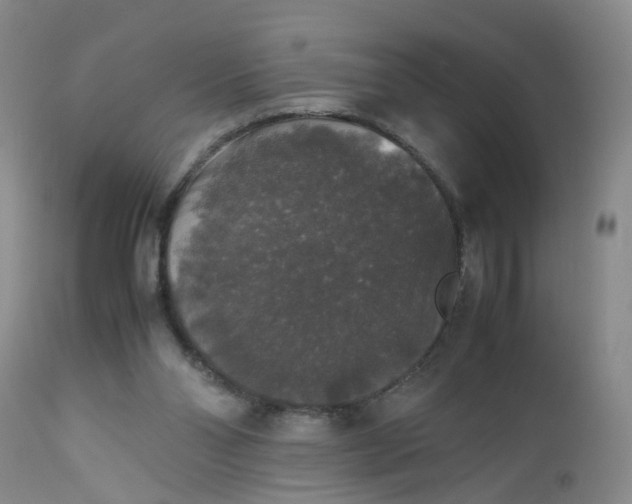 X0000112530110200908311432