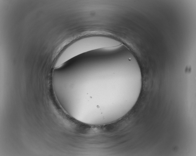 X0000112530111200908311432