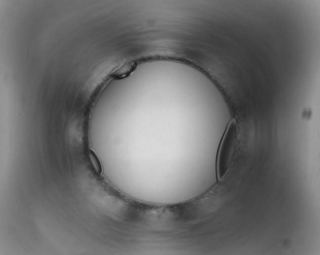 X0000112530112200908311432