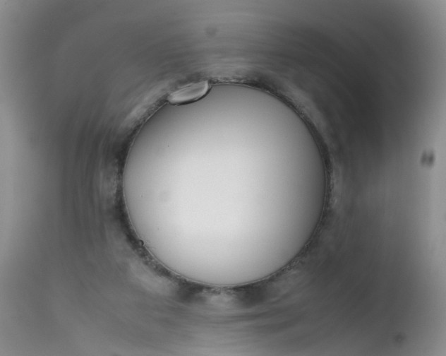 X0000112530113200908311432