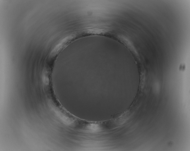 X0000112530114200908311432