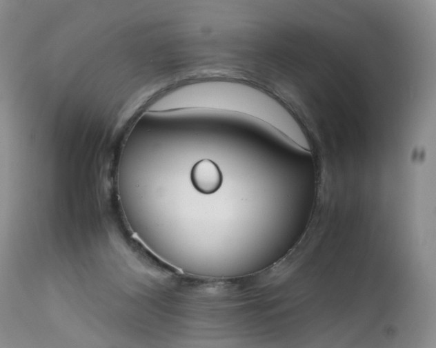 X0000112530116200908311432