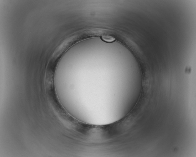 X0000112530119200908311432