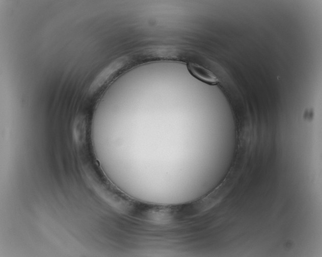 X0000112530120200908311432