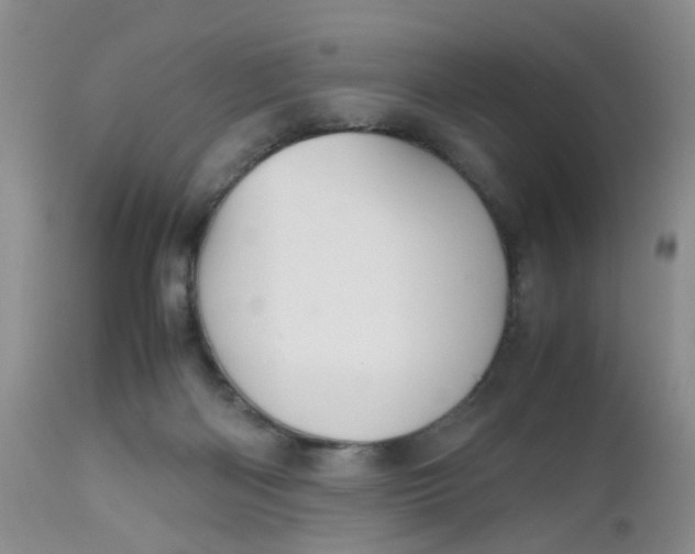 X0000112530122200908311432