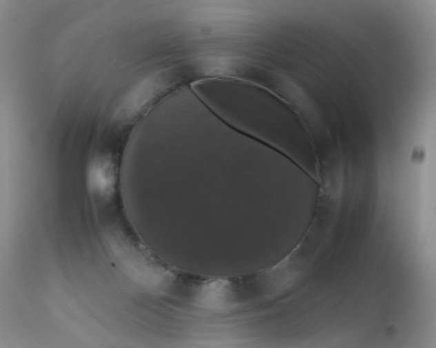 X0000112530124200908311432