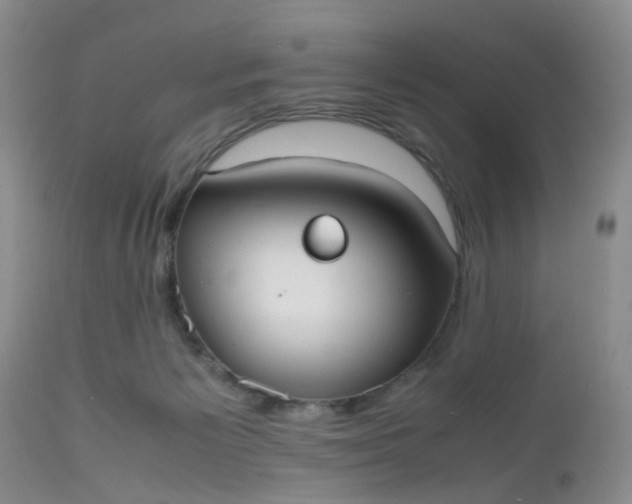 X0000112530125200908311432