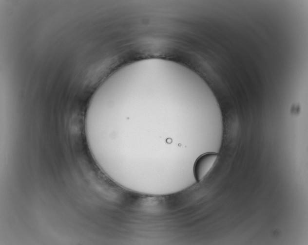 X0000112530126200908311432