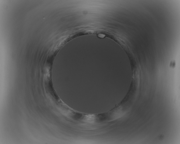 X0000112530127200908311432