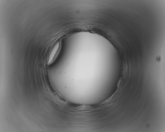 X0000112530128200908311432