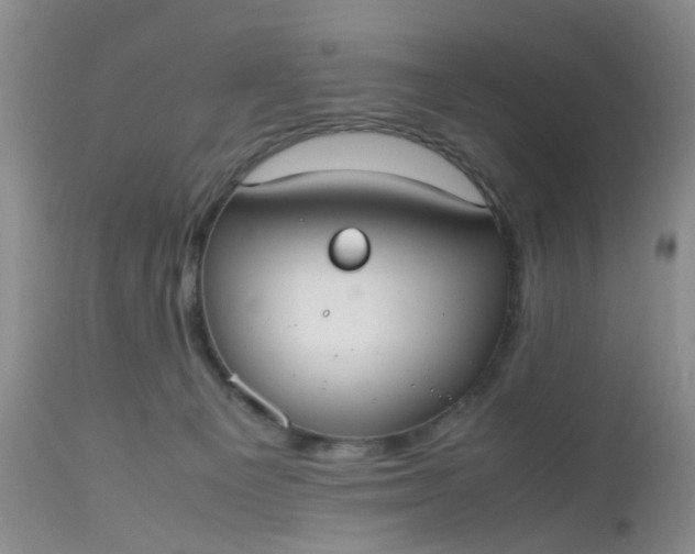 X0000112530129200908311432