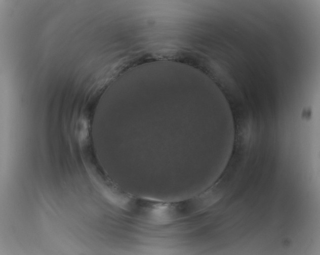 X0000112530130200908311432