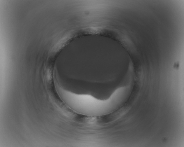 X0000112530131200908311432