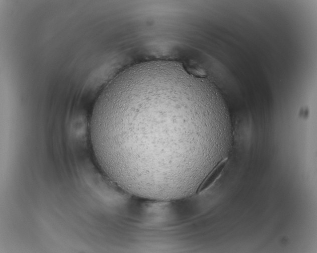 X0000112530132200908311432