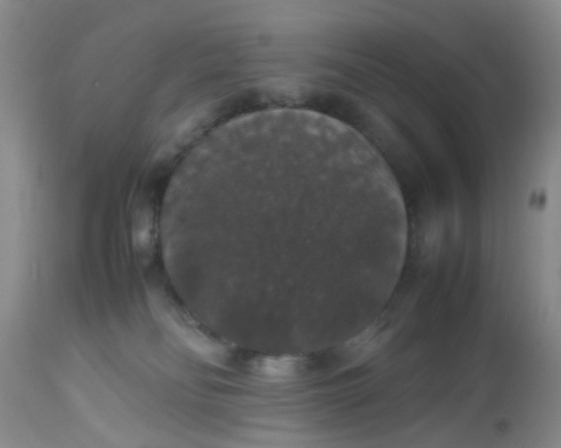 X0000112530134200908311432