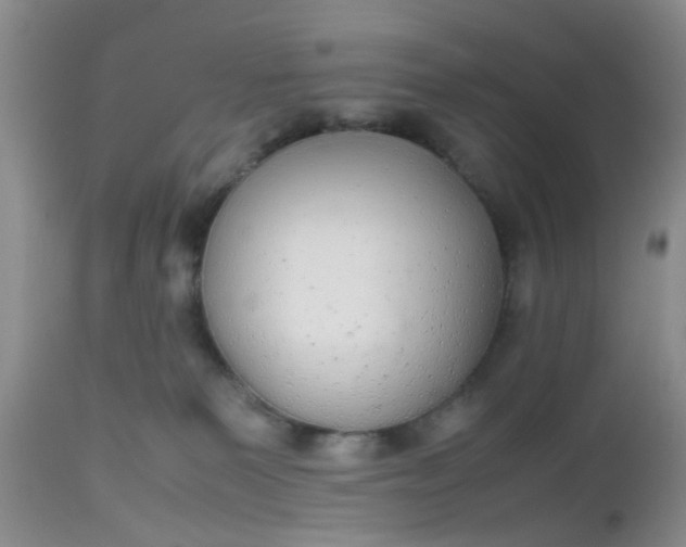 X0000112530135200908311432