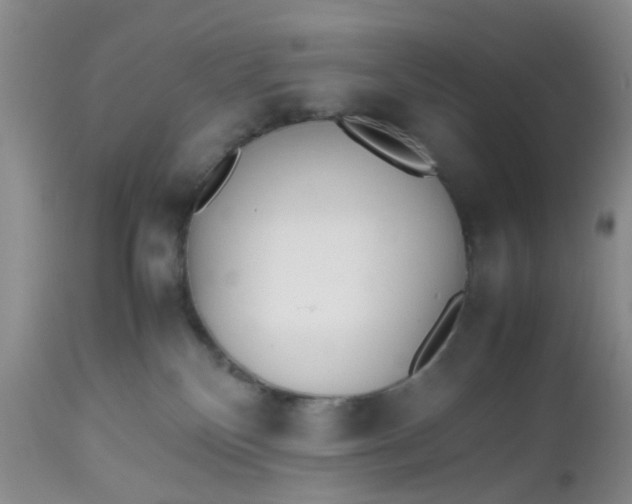 X0000112530136200908311432