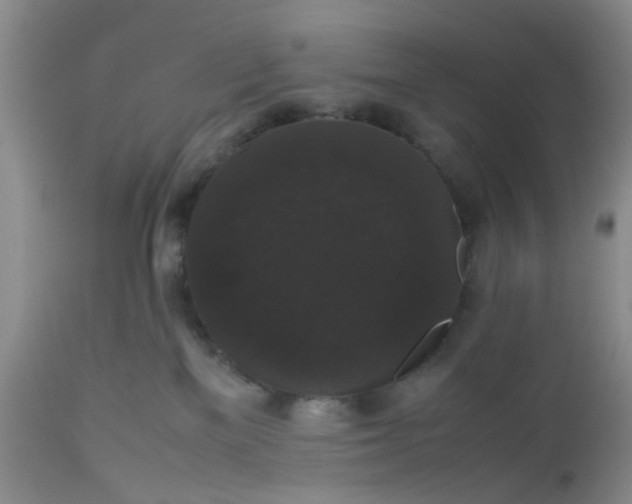 X0000112530137200908311432