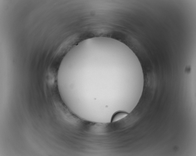 X0000112530138200908311431