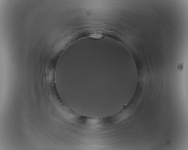 X0000112530139200908311431