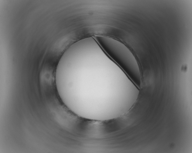 X0000112530140200908311431