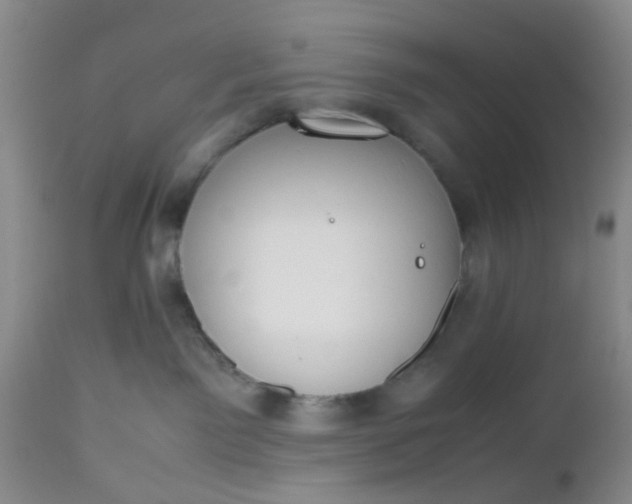 X0000112530141200908311431