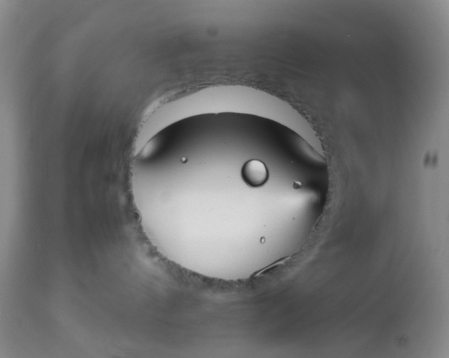 X0000112530144200908311431
