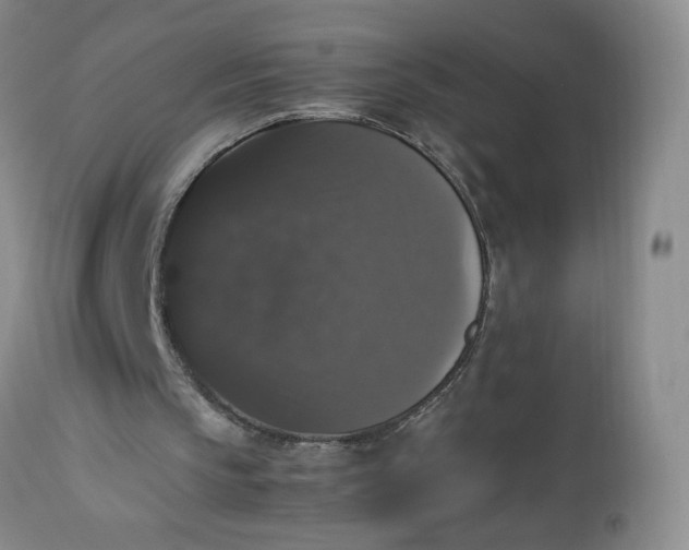 X0000112530145200908311431