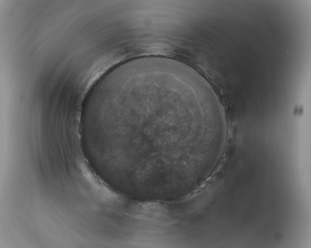 X0000112530146200908311431
