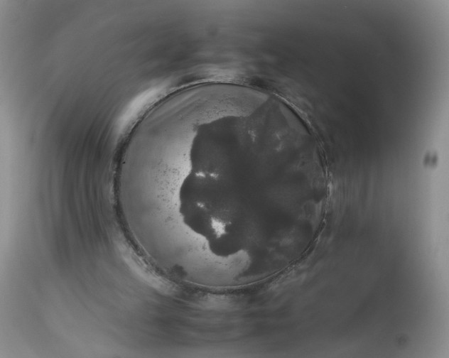 X0000112530149200908311431