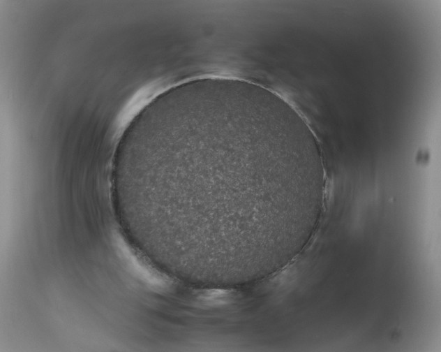 X0000112530151200908311431