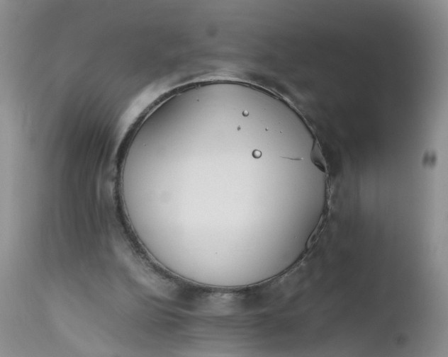 X0000112530152200908311431