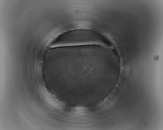 X0000112530154200908311431
